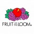 Fruit of the Loom